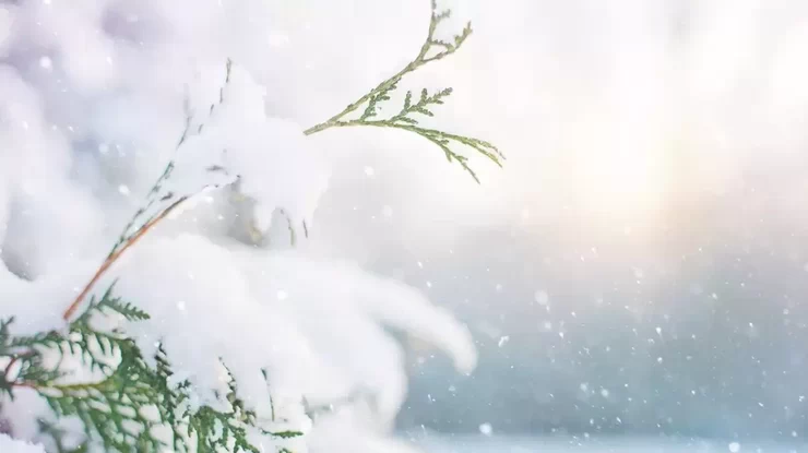 Погода 1 грудня: що обіцяють синоптики у перший день зими