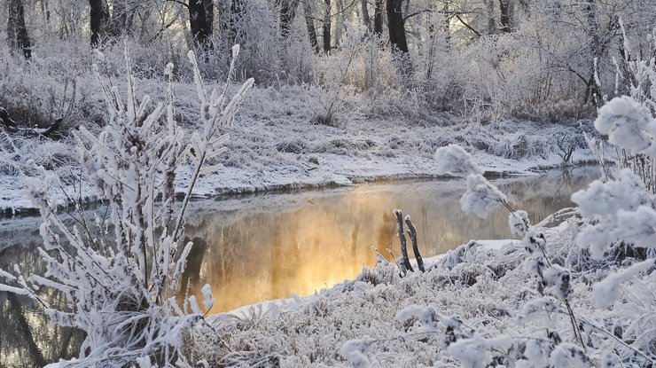 Сильний туман, дощ та сніг: прогноз в Україні на 9 грудня
