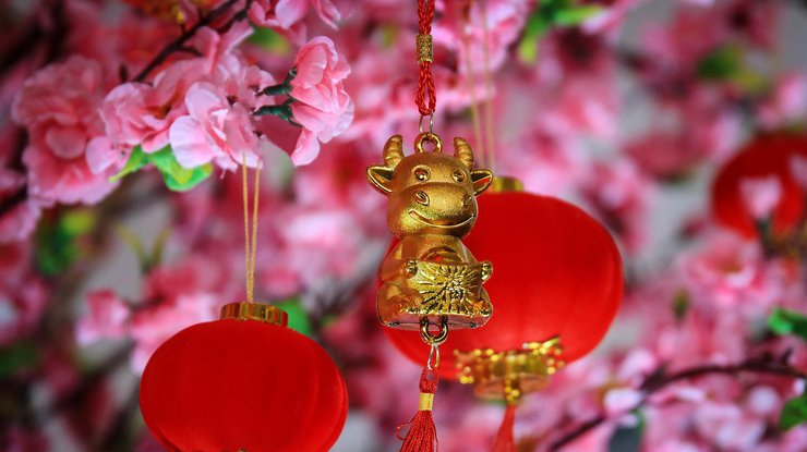 Кролик принесе багато грошей: семи знакам за китайським гороскопом пощастить у 2023 році