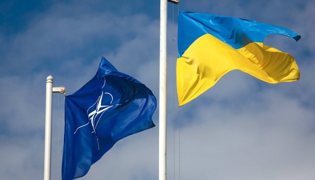 Украина хотела получить ПДЧ в НАТО вместе с Грузией. А что теперь?