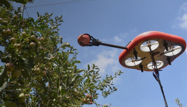 В Израиле летающего робота с искусственным интеллектом научили собирать фрукты