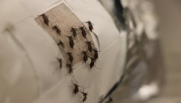 Украинская система борьбы с комарами победила на инвестиционном саммите США