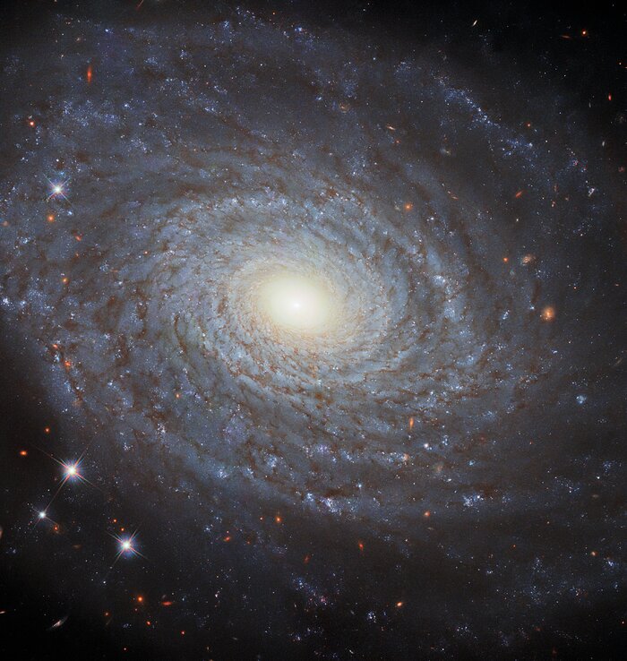 Hubble показал спиральную галактику в созвездии Овен