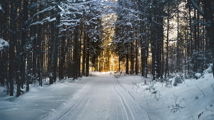 Украину засыплет снег: прогноз погоды на 2 декабря
