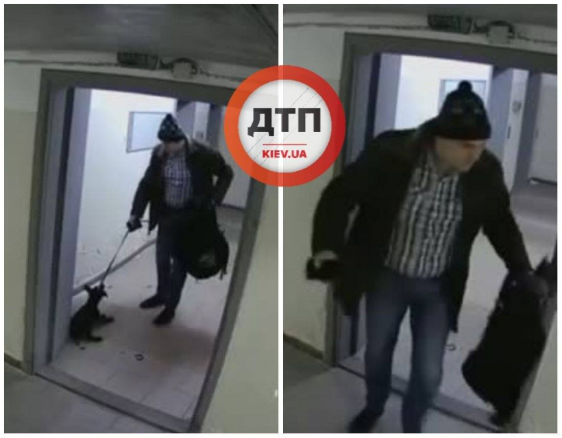 В Киеве разыскивают живодера и избитого им щенка (фото, видео)