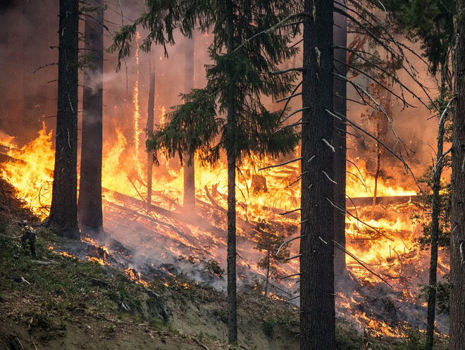 На востоке Украины и Одесщине 26-27 октября сохранится чрезвычайная пожароопасность