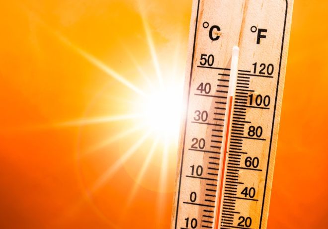 2020 год войдет в тройку самых теплых лет за всю историю 