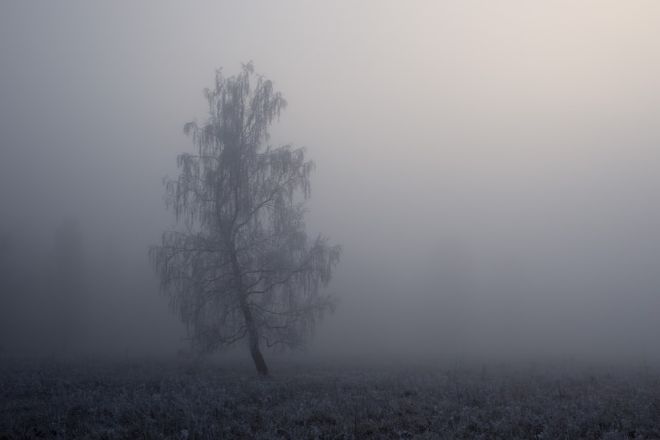 21 декабря на территории Украины из-за тумана снизится видимость 
