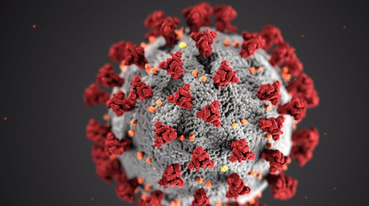 Новый штамм коронавируса: ученые сделали успокаивающее заявление