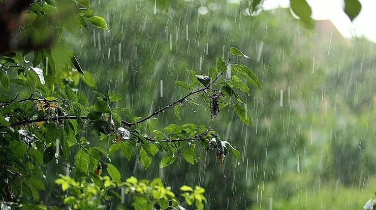 Дощі, грози, пориви вітру та пожежна небезпека: прогноз погоди на 3 серпня