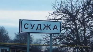 Суджа