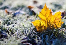 Погода в жовтні