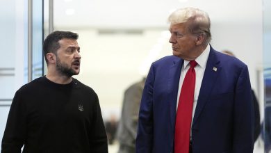 Трамп і Зеленський