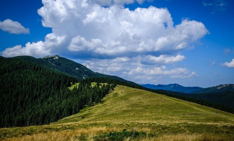 Гора