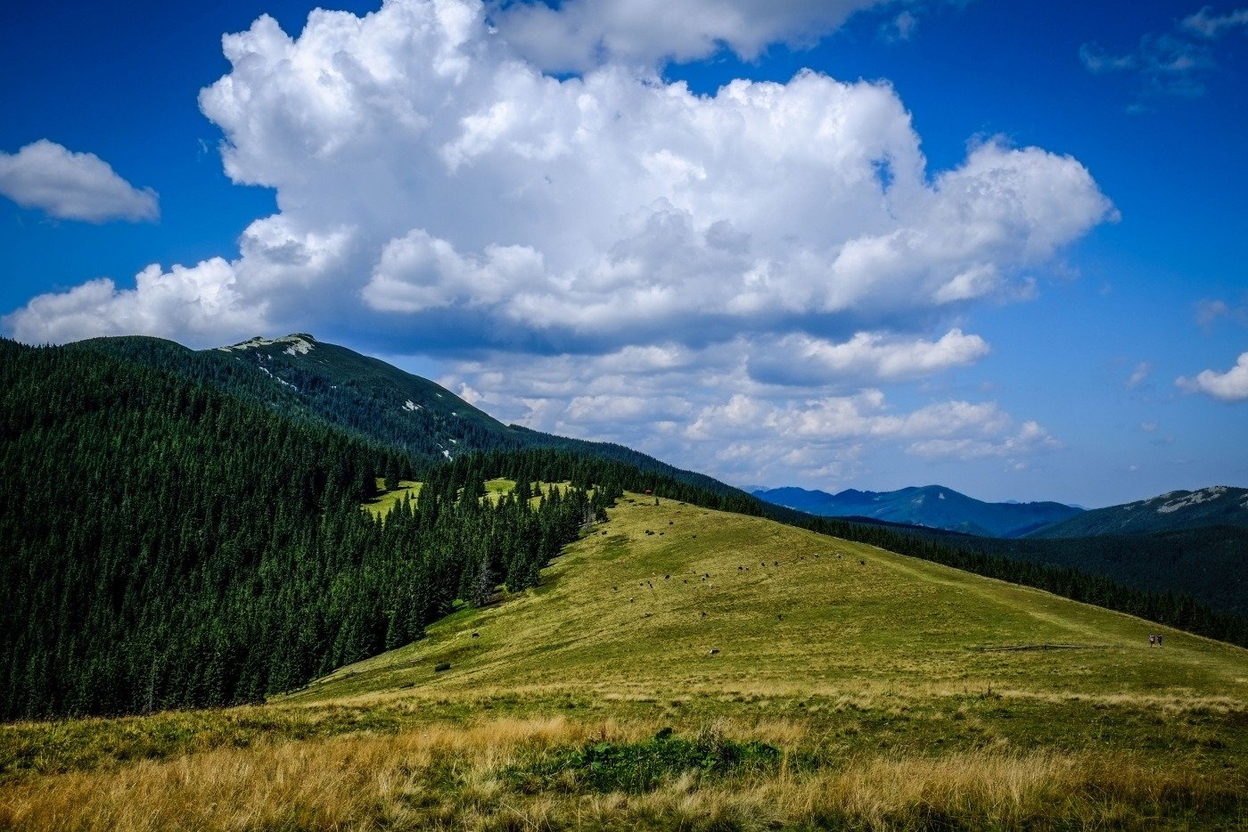 Гора