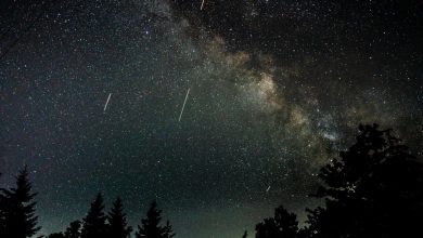 Зорепад