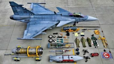 Винищувачі Gripen (SAAB JAS 39)