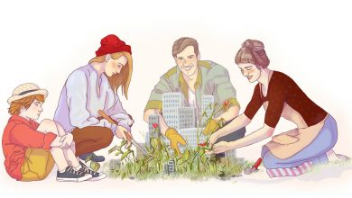 Суспільство