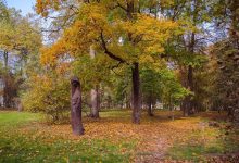 Центральний парк Чернігова
