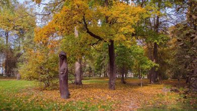 Центральний парк Чернігова