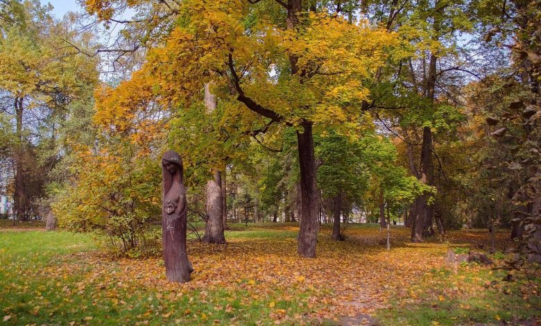 Центральний парк Чернігова