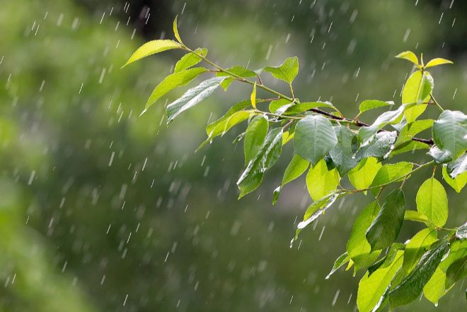 Погода в Украине 15 мая: кратковременные дожди, грозы