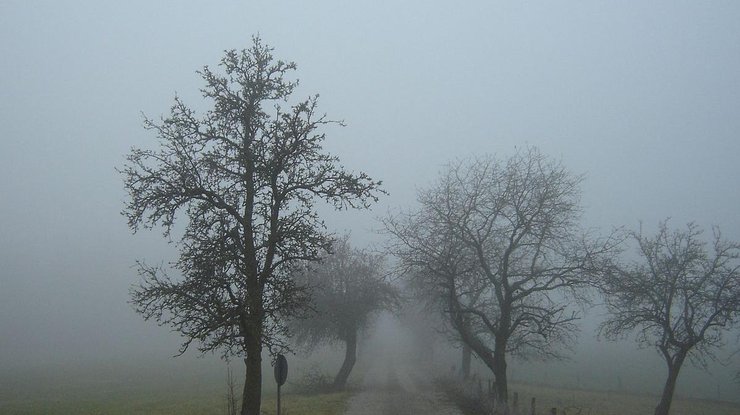 Дождь и туман: прогноз погоды на 3 ноября