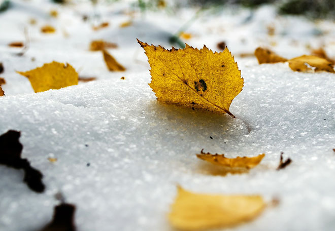 Погода в Украине 22 ноября: в ряде областей пройдет небольшой снег