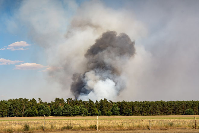 В ряде областей Украины 29 июля сохранится пожарная опасность наивысшего уровня