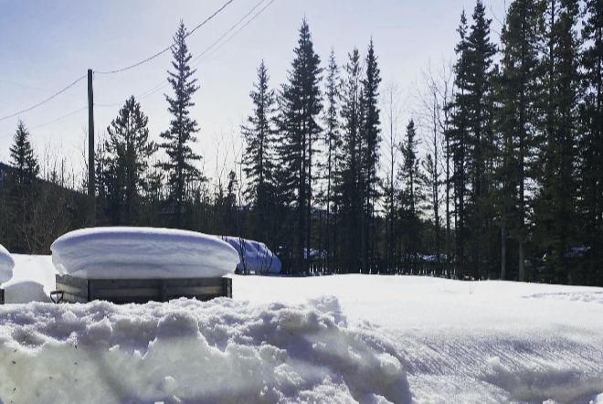 На северо-западе Канады выпало 300 % от нормы снега, установив рекорд за полвека