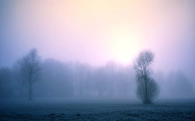 Киевлян предупреждают о тумане 16 декабря: видимость упадет до 200 м