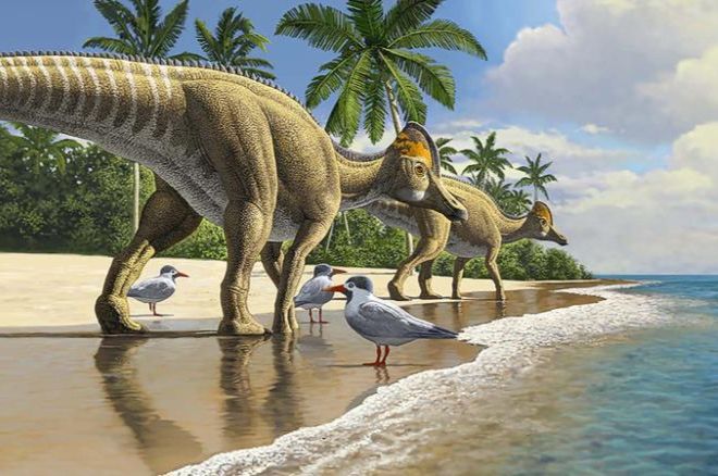 Ученые доказали, что динозавры могли переплывать океан