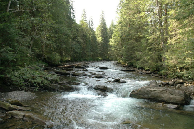 На реках Карпатского региона прогнозируется повышение уровней воды