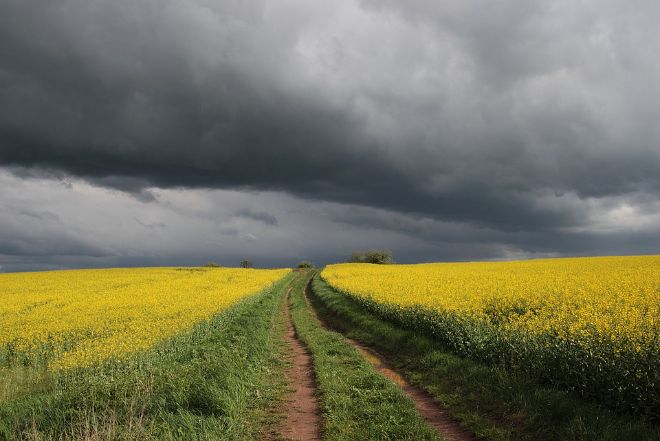 7 июня в Украине действует «желтое» предупреждение о грозах