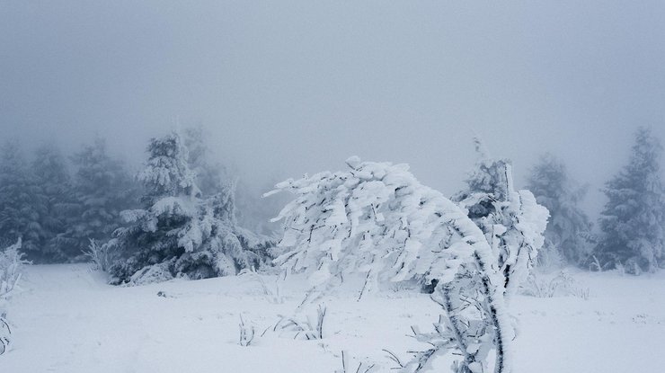 Морозы до -24 и 40 см снега: в Украину надвигается опасный циклон